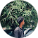 http://Slide%20Image